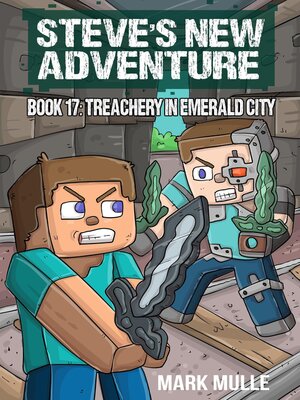 cover image of Steve's New Adventure Book 17